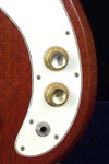 1965 Epiphone Newport bass. Body detail - volume and tone knobs, input jack