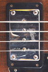 1972 Gibson EB0. The Gibson bass humbucking pickup did change a little over its period of manufacture. This pickup has the Gibson logo engraved into its cover.