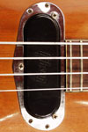 1972 Gibson Les Paul bass. Body detail - low impedance pickup