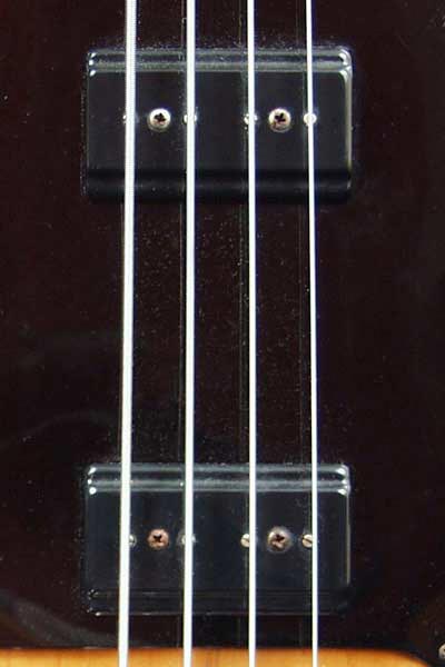 1976 Gibson L9-S Ripper bass