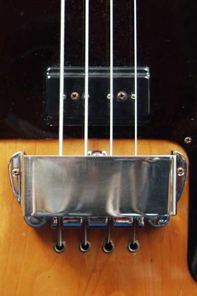 1976 Gibson L9-S Ripper bass