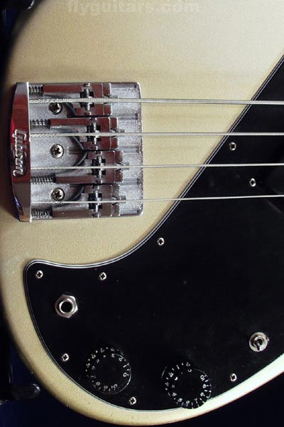 1981 Gibson Victory Standard switch detail