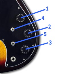 Gibson Victory Artist bass controls