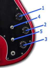 Gibson Victory Custom bass controls