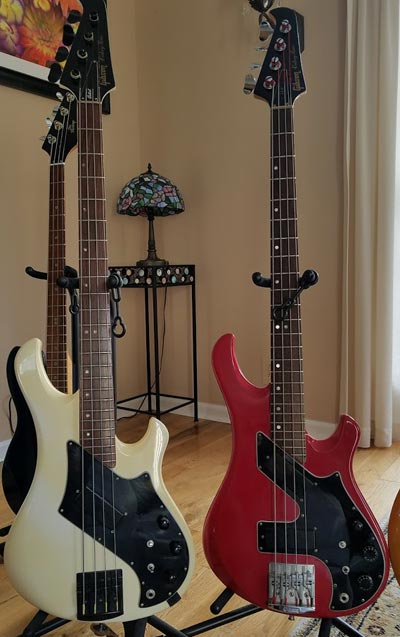 Two Gibson Victory basses, both active. The 1983 single pickup Artist, and the original dual pickup Artist, #08